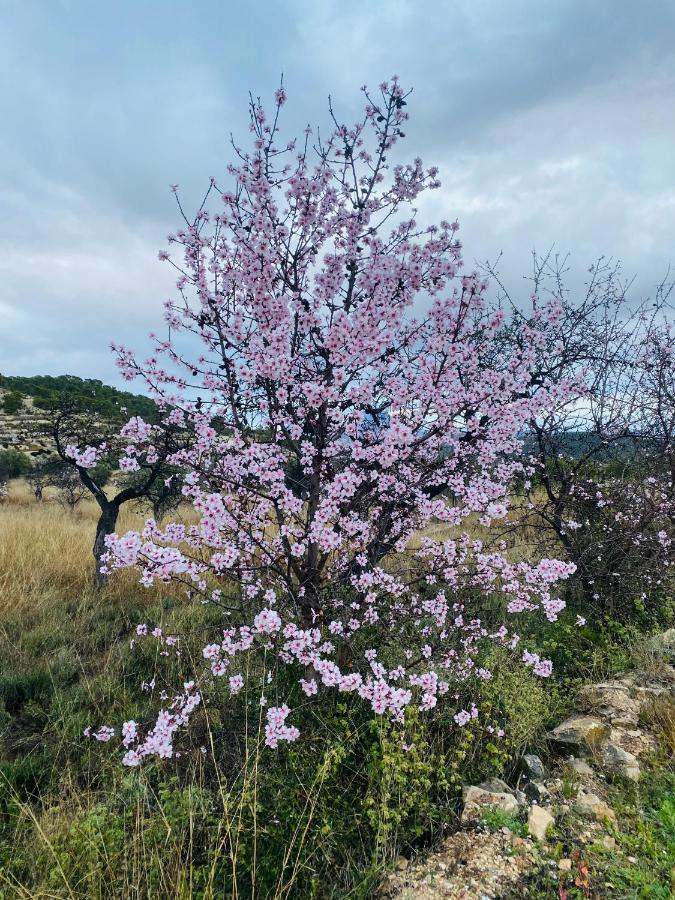 Finca Las Estrellas Relleu Εξωτερικό φωτογραφία