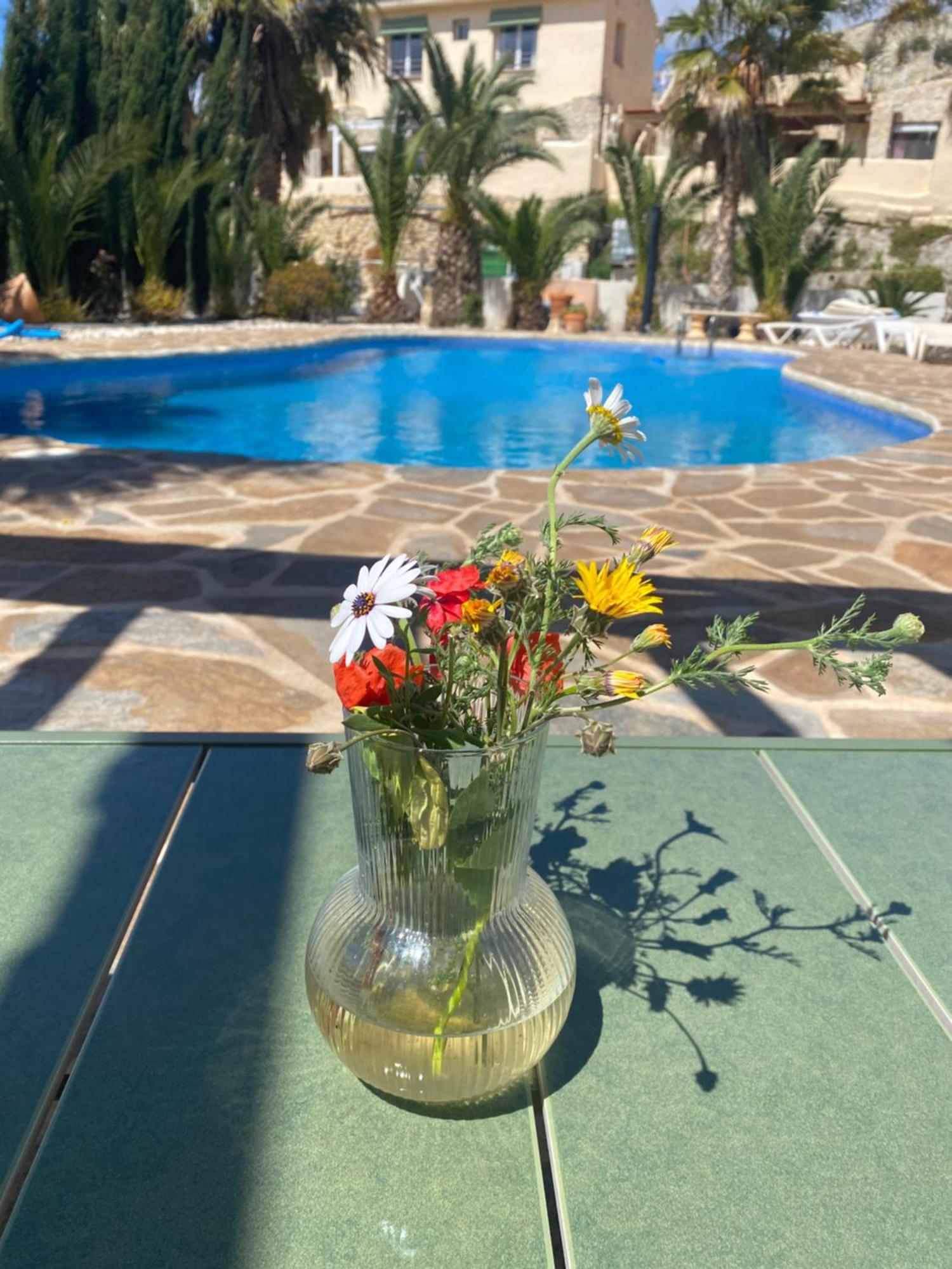 Finca Las Estrellas Relleu Εξωτερικό φωτογραφία